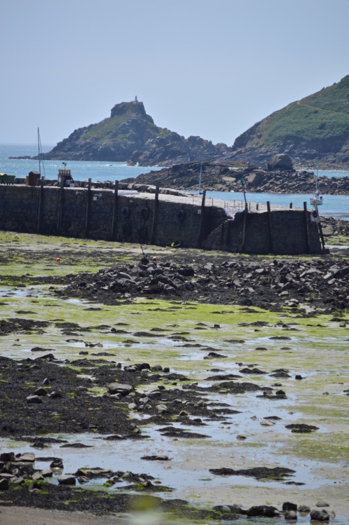 Guernsey June 2014 - 603